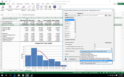 Descriptive statistics report with histogram and data input window.